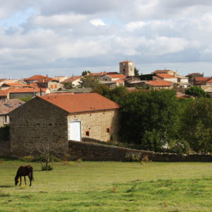 Charnas